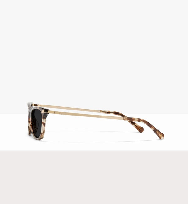 Leopard--side_image_sun