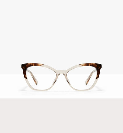 Golden Tortoise--front_image
