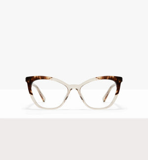 Golden Tortoise--front_image