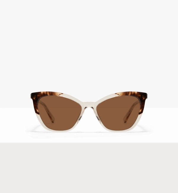 Golden Tortoise--front_image_sun