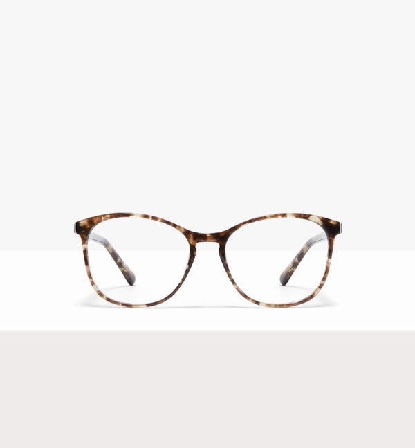 Leopard--front_image