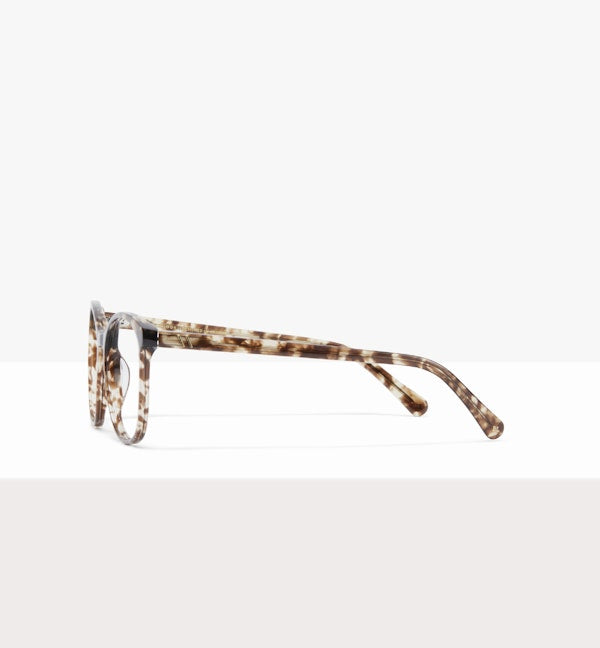 Leopard--side_image
