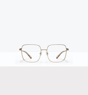 Gold--front_image