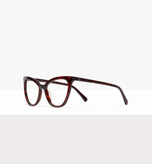 Tortoise--angled_image