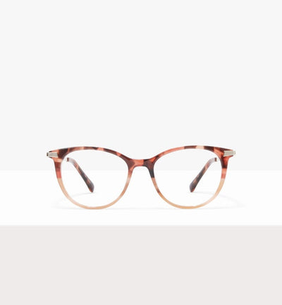 Tortue rose bicolore -- image de couverture