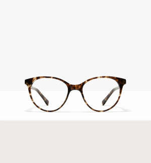 Leopard--front_image