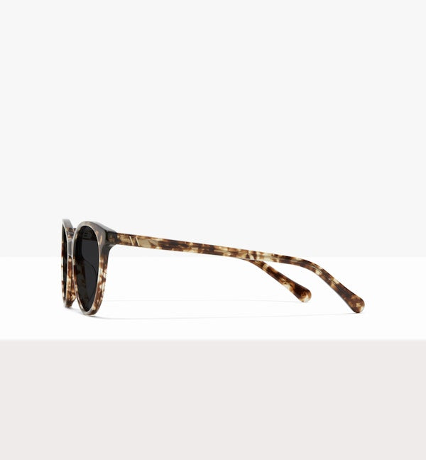 Leopard--side_image_sun