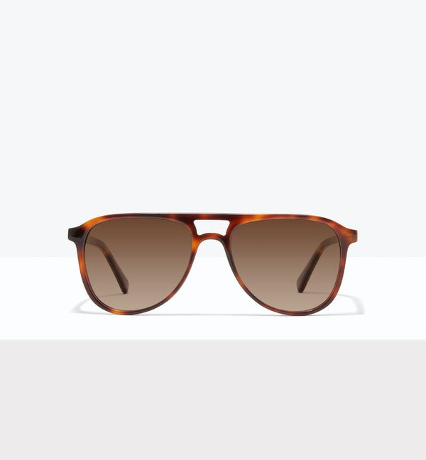 Heron Sunglasses BonLook Tortoise 4 no