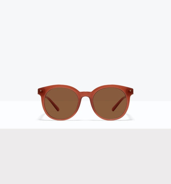 Toffee--front_image