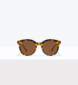 Tortoise--front_image
