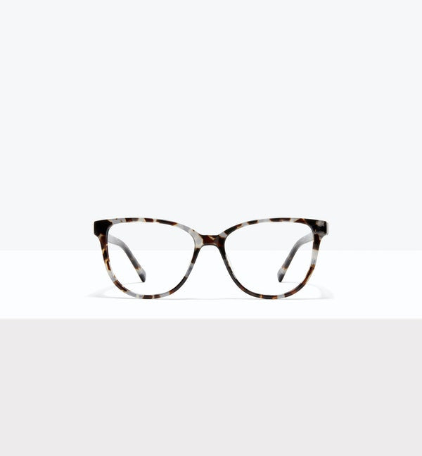 Blue Tort--front_image