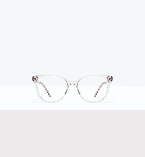 Gallnut--front_image