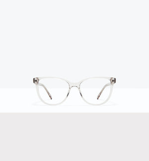 Gallnut--front_image