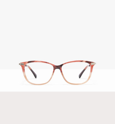 Tortue rose bicolore -- image de couverture