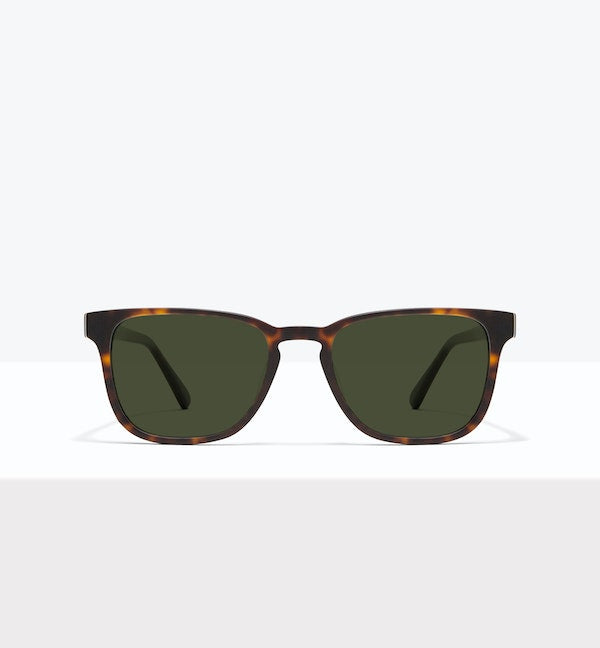 Matte Tortoise--front_image_sun