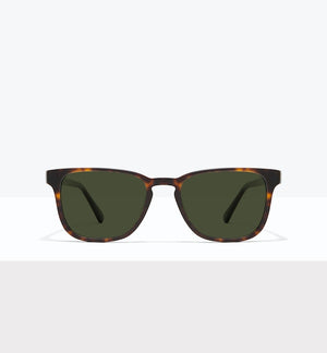 Matte Tortoise--front_image_sun