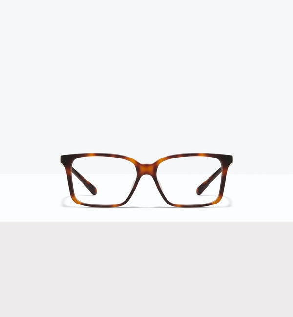 Matte Tortoise--front_image
