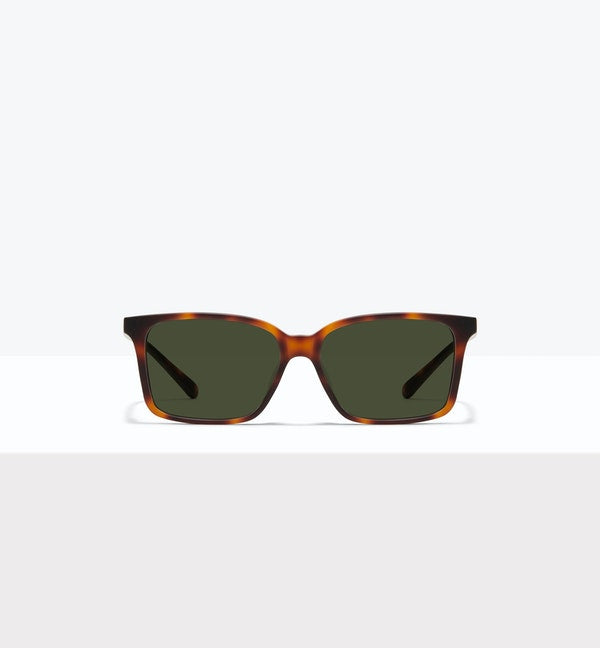 Matte Tortoise--front_image