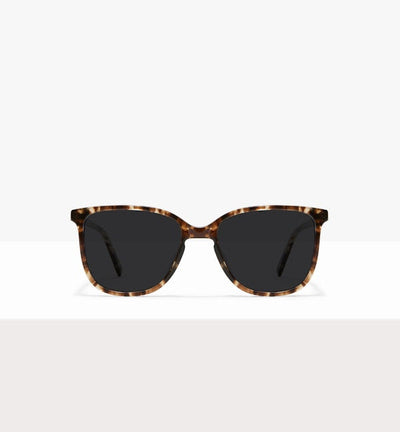 Leopard--front_image_sun