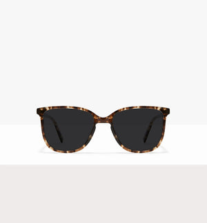 Leopard--front_image_sun