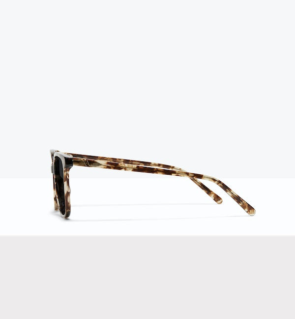 Leopard--side_image_sun