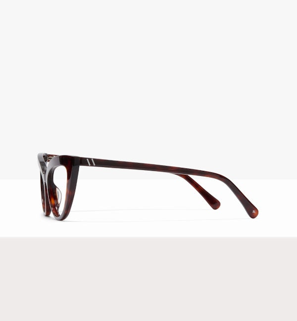 Tortoise--side_image