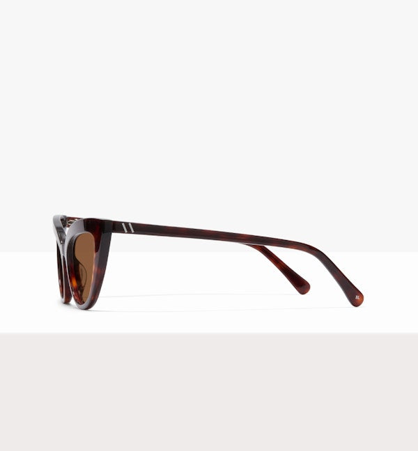 Tortoise--side_image_sun