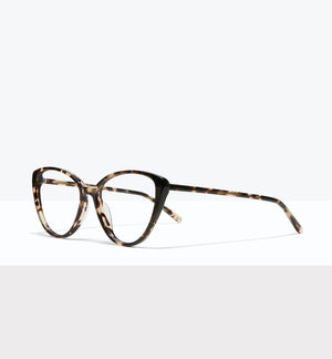 Leopard--angled_image