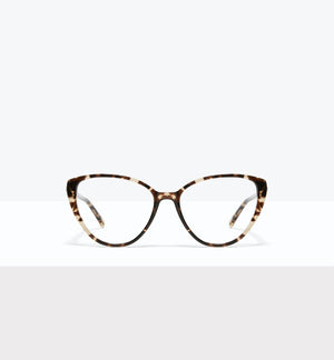 Leopard--front_image