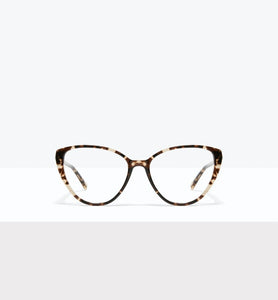 Leopard--front_image