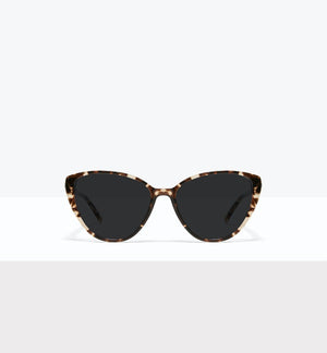 Leopard--front_image