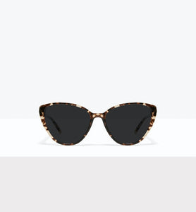 Leopard--front_image