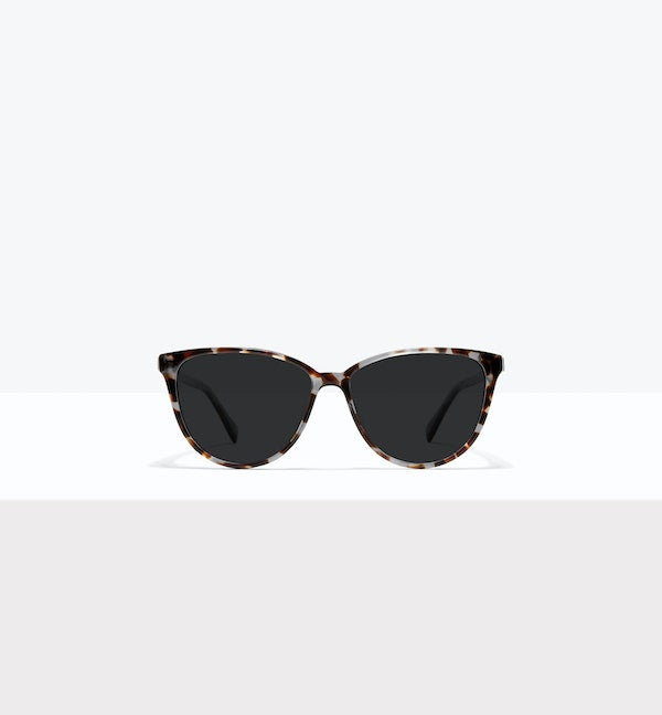 Blue Tort--front_image_sun