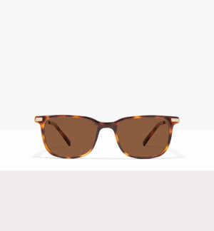 Tortoise--front_image_sun