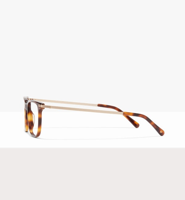 Tortoise--side_image