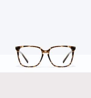 Leopard--front_image