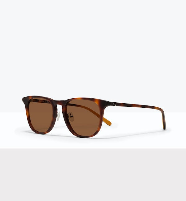 Shore Sunglasses BonLook   