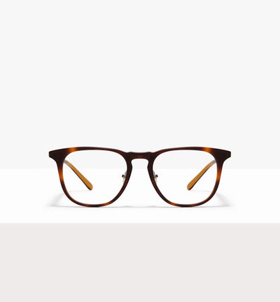 Shore Eyeglasses BonLook Tortoise Matte 4 yes