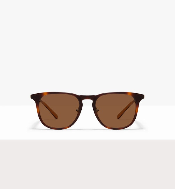 Shore Sunglasses BonLook Tortoise Matte 4 yes