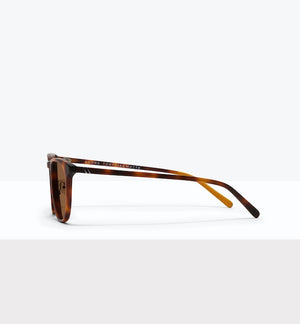 Shore Sunglasses BonLook   