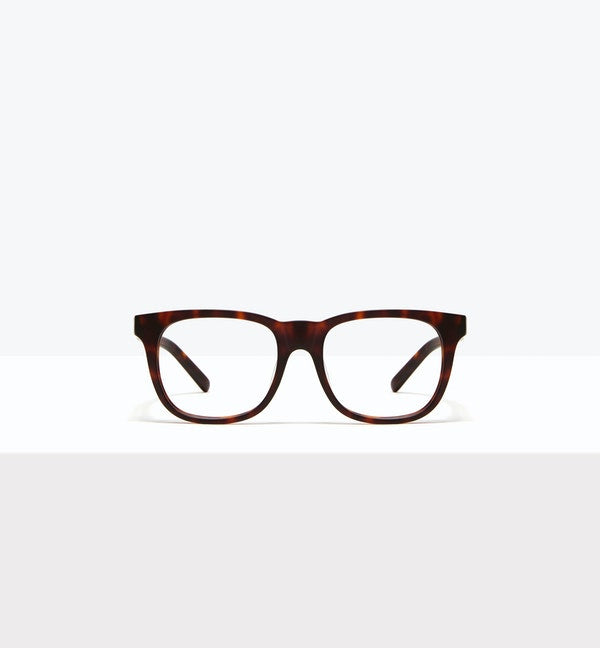 Matte Tortoise--front_image