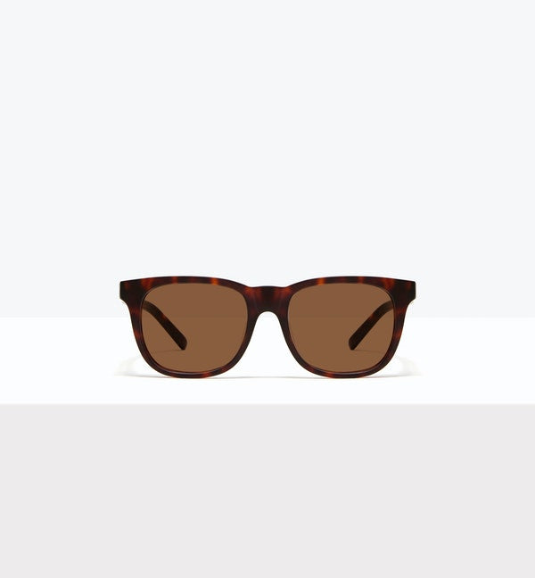 Matte Tortoise--front_image