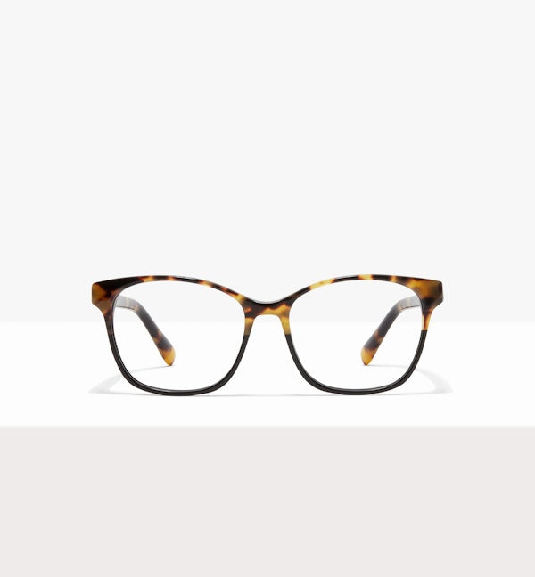 Two Tone Tort--front_image