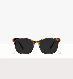 Two Tone Tort--front_image_sun