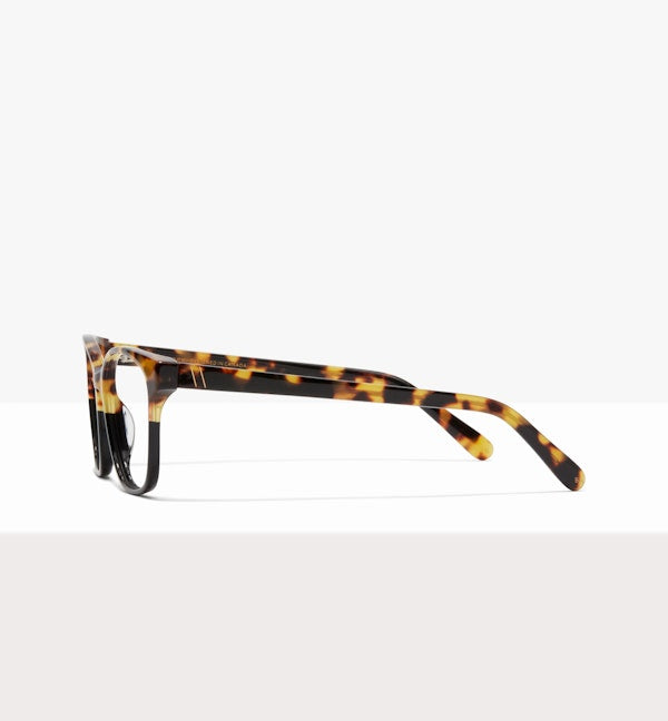 Two Tone Tort--side_image