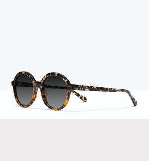 Status Sunglasses BonLook   