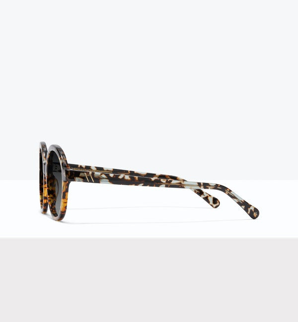 Status Sunglasses BonLook   