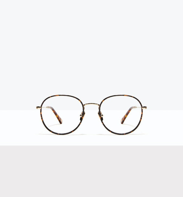 Fauve--front_image