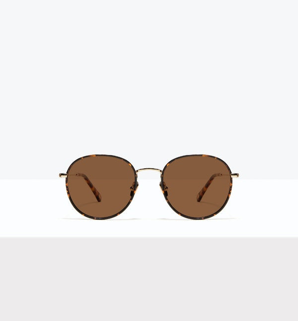 Fauve--front_image