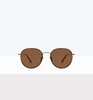 Fauve--front_image